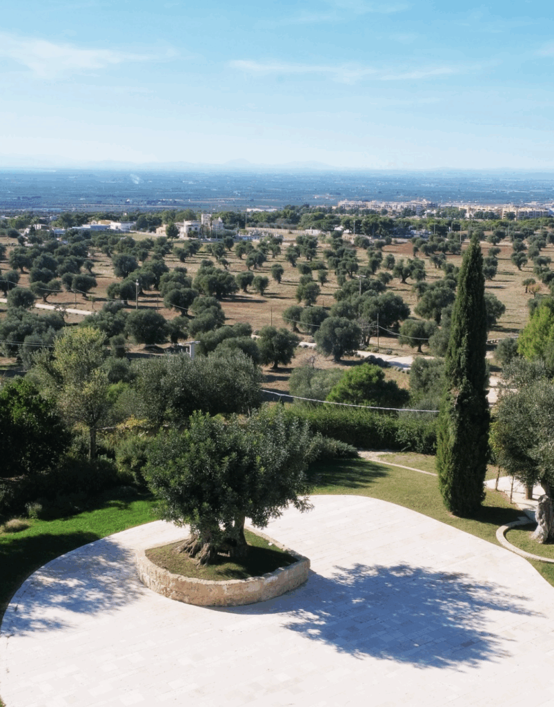 Bildschirmfoto 2025-11-18 um 03.23.17