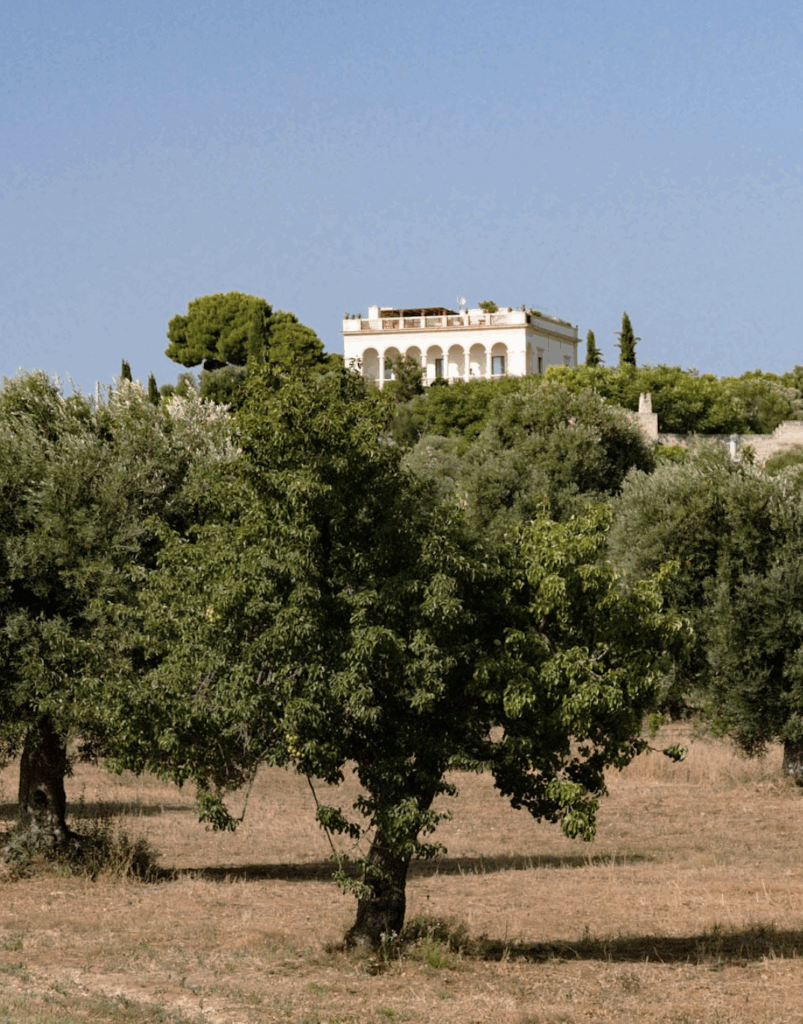 Bildschirmfoto 2025-11-18 um 03.24.37