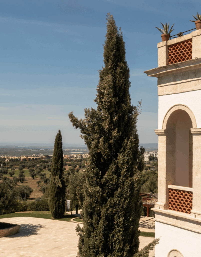 Bildschirmfoto 2025-11-18 um 03.25.31